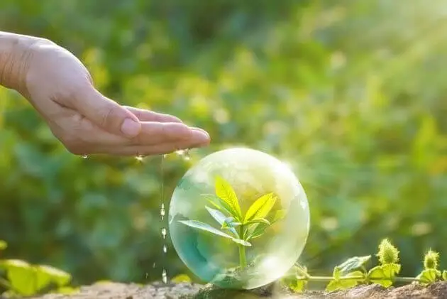 ԲՈՒՅՍԵՐԻ ՊԱՇՏՊԱՆՈՒԹՅԱՆ ՄԻՋՈՑՆԵՐ (ԱՅԼ ԳՈՐԾԻՔՆԵՐ)